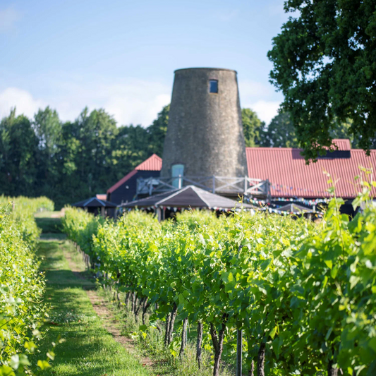 Vineyard Tour & Tasting