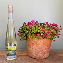 Load image into Gallery viewer, Nutbourne Ten.Five Delicate Dry English Still White Wine with Flowerpot
