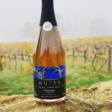 Load image into Gallery viewer, Nutbourne Nutty Blush Pinot Noir 2013 Classic Method English Rosé Sparkling Wine Bottle with Vines
